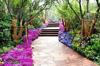 上海普陀景观工程私家花园设计绿化租赁